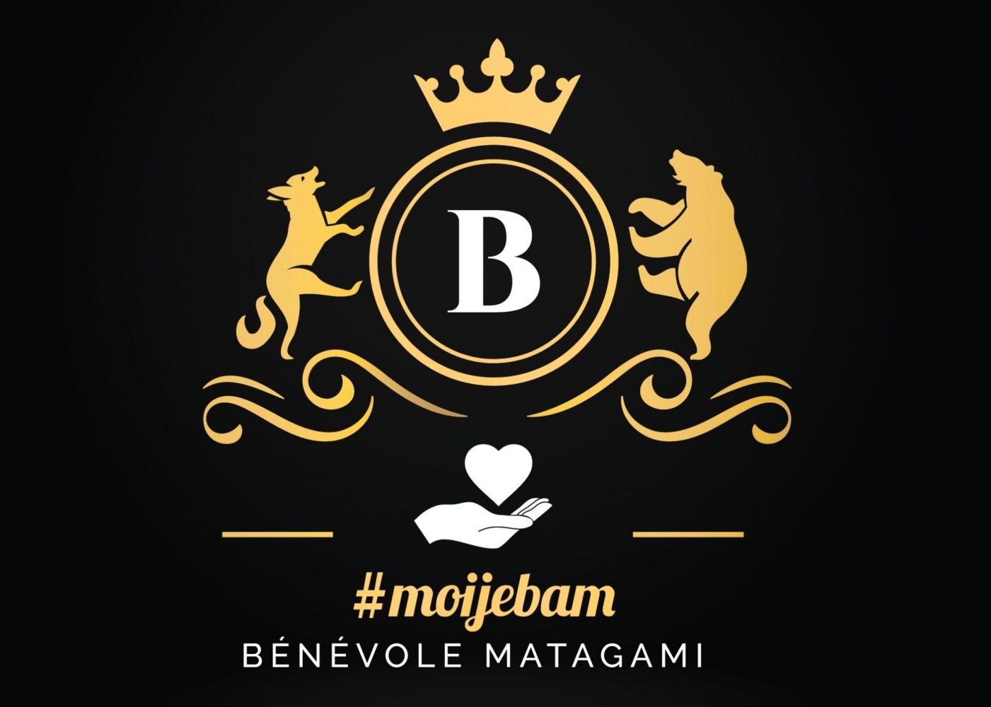 Étude sur les enjeux du bénévolat à Matagami