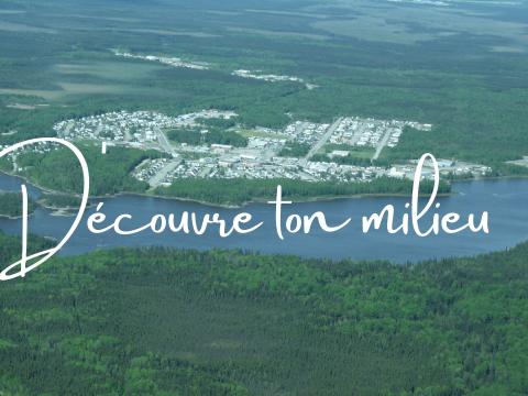 Activité ''Découvre ton milieu''